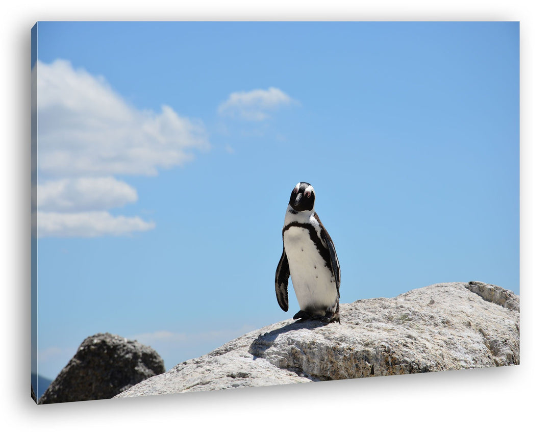 deyoli Zucker süsser Strand Pinguin Format: 100x70 als Leinwandbild, Motiv fertig gerahmt auf Echtho