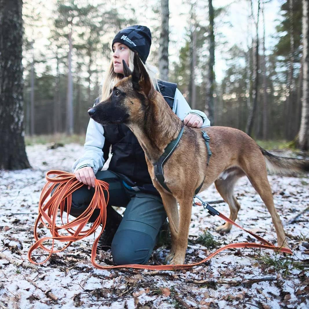 Non-stop dogwear Friction Long line | Schleppleine mit Gummieinsätzen | Länge:15m 15 m / 49,2 Fuss,