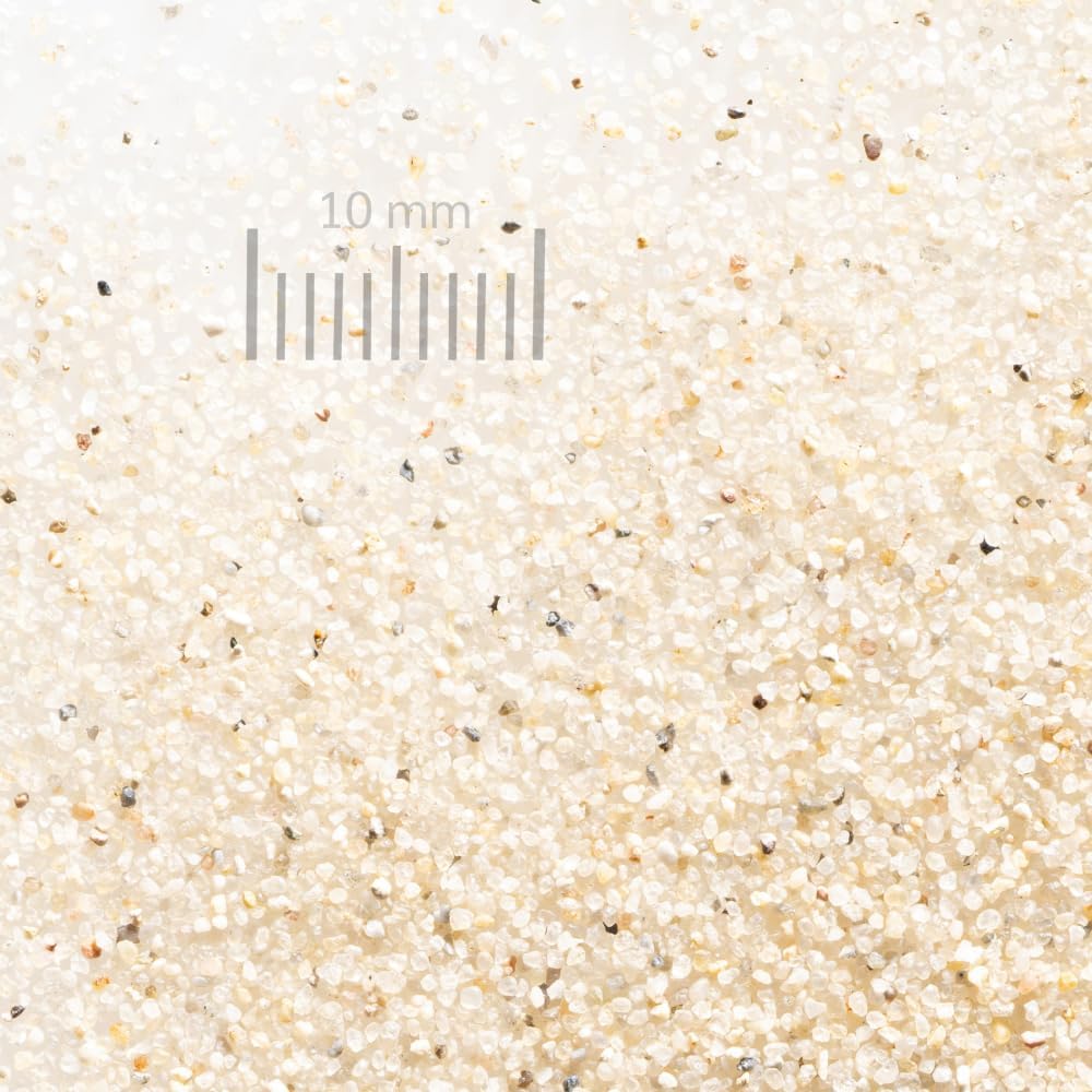 WOLFF & MÜLLER Kaninchenbuddelsand | Quarzsand für Buddelkiste | feiner Beiger Sand für Kaninchen &