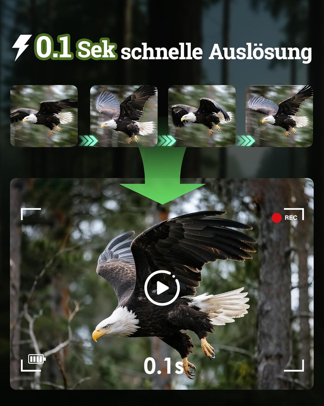 MAXDONE Wildkamera Solar WLAN mit Handyübertragung App - 4K 64MP Wildtierkamera Bluetooth mit Bewegu