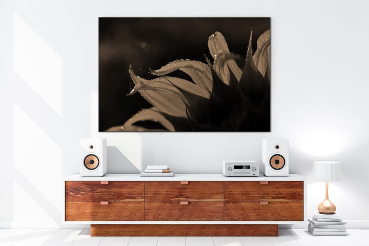 deyoli regnerische Sonnenblume Format: 80x60 als Leinwand, Effekt: Sepia, Motiv fertig gerahmt auf E