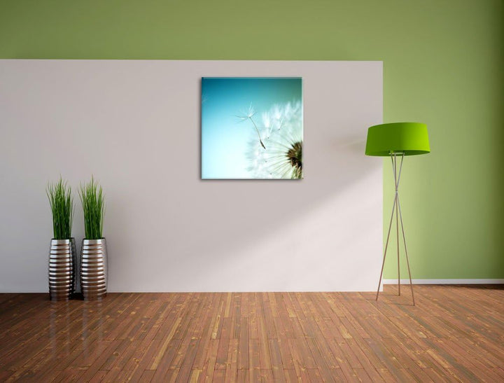 Pixxprint Löwenzahn Pusteblume als Leinwandbild/Grösse: 70x70 cm/Wandbild/Kunstdruck/fertig bespannt