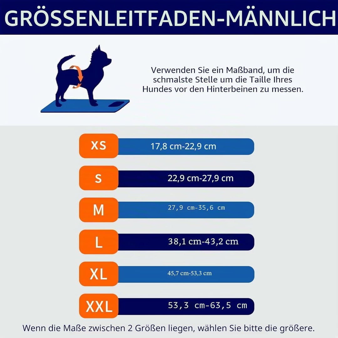 MICOOYO Wiederverwendbare Hundewindeln für Männer, 3er-Pack, waschbare Bauchbänder für Hunde, super