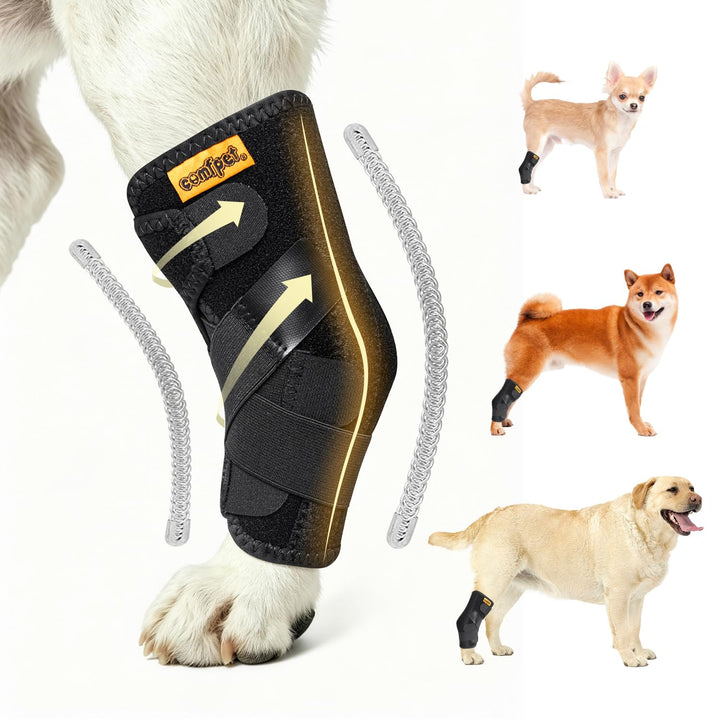 Hundehalsbandage für hintere Sprunggelenk, Hund Bein Unterstützung Wrap mit Metall-Streifen, Hinterb