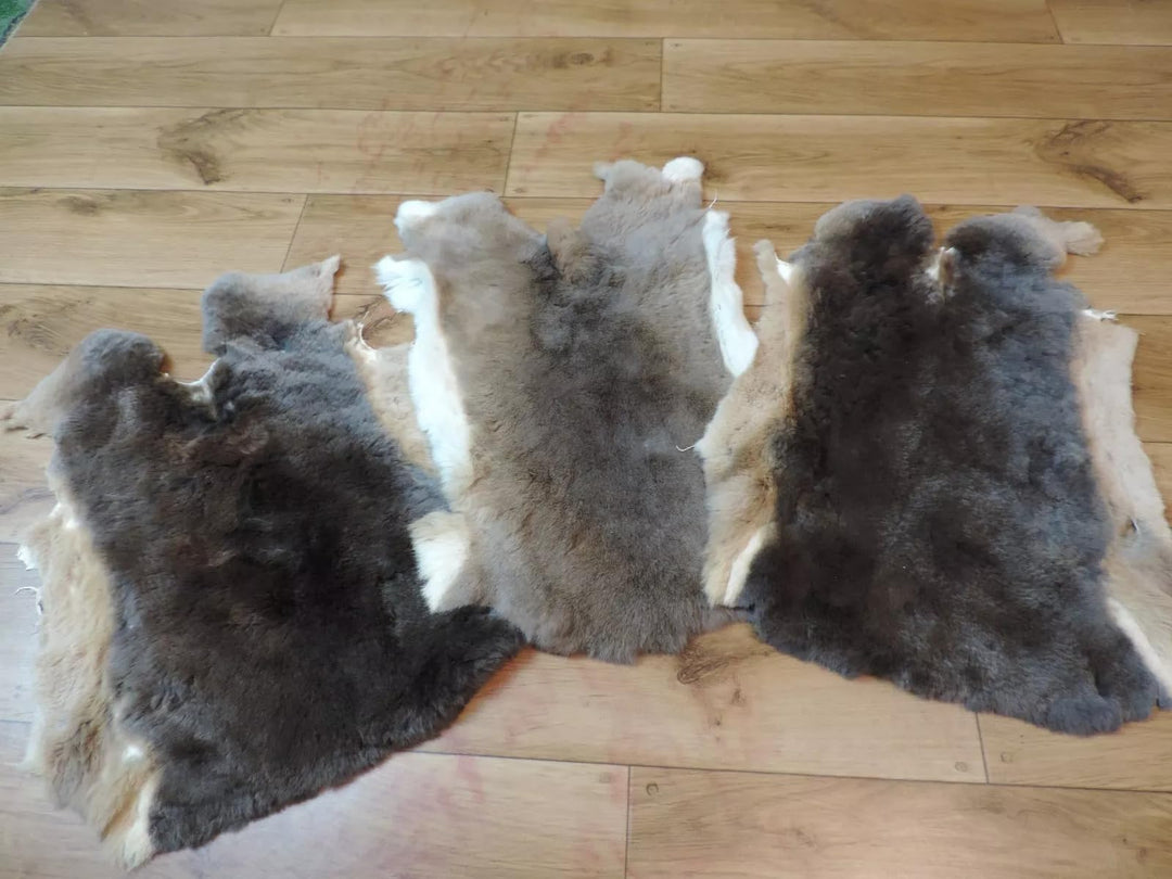 Premium Rex Kaninchen Felle Rexkaninchen Kaninchenfell Kaninchen Fell Hasenfell (Rex Lohbraun mit kl