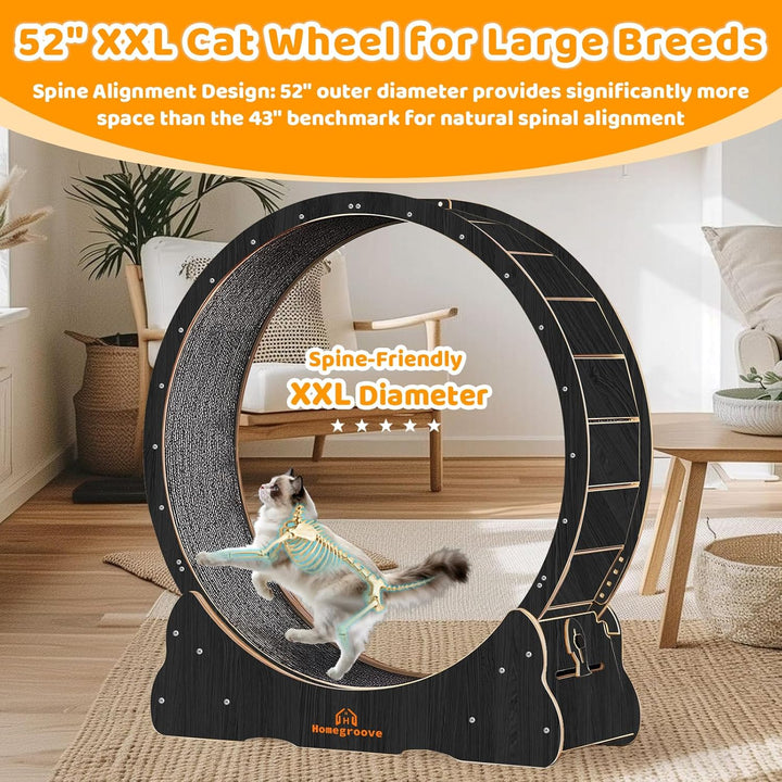 Homegroove XXL Katzenlaufrad, 52"/132 cm grosses Katzenrad, Massivholz-Laufband für Katzen mit integ