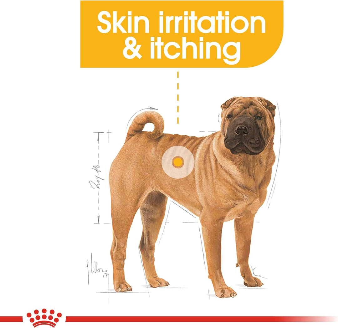 Royal Canin Medium Dermacomfort 24, 1er Pack (1 x 10 kg Packung) - Hundefutter 10 kg (1er Pack), 10