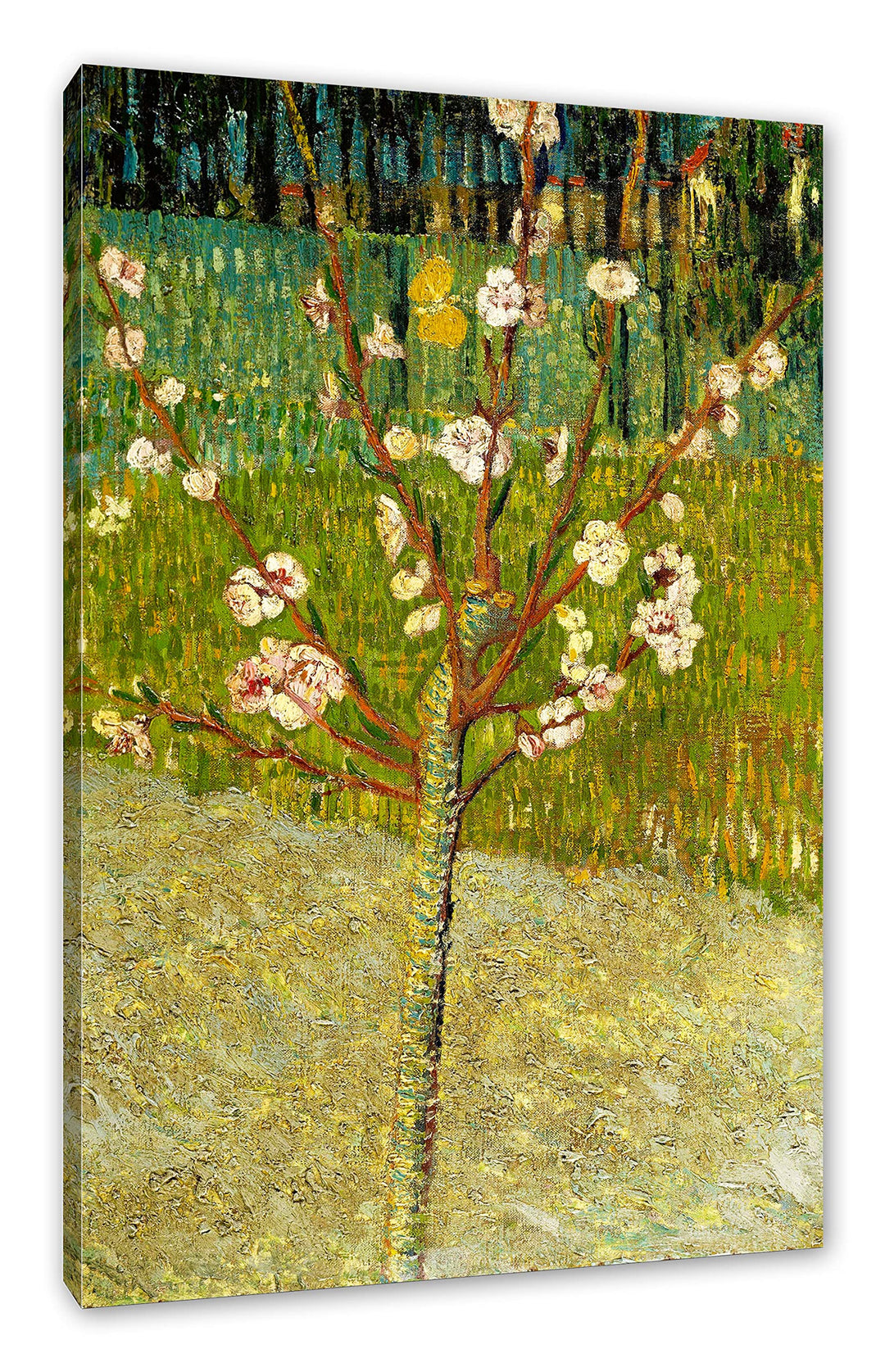 Vincent Van Gogh - Blühender Mandelbaum als Leinwandbild / Grösse: 100x70 cm / Wandbild / Kunstdruck
