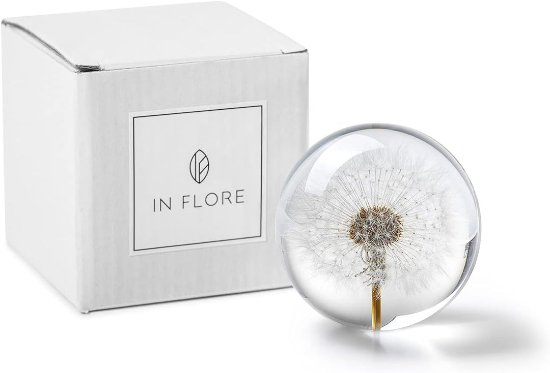 In Flore Dandelion Briefbeschwerer aus Harzglas, mit echtem Löwenzahn, 8 cm, weiss