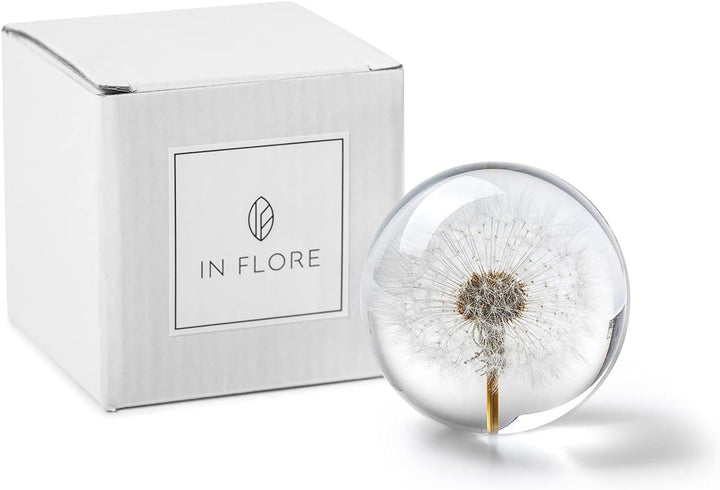 In Flore Dandelion Briefbeschwerer aus Harzglas, mit echtem Löwenzahn, 8 cm, weiss