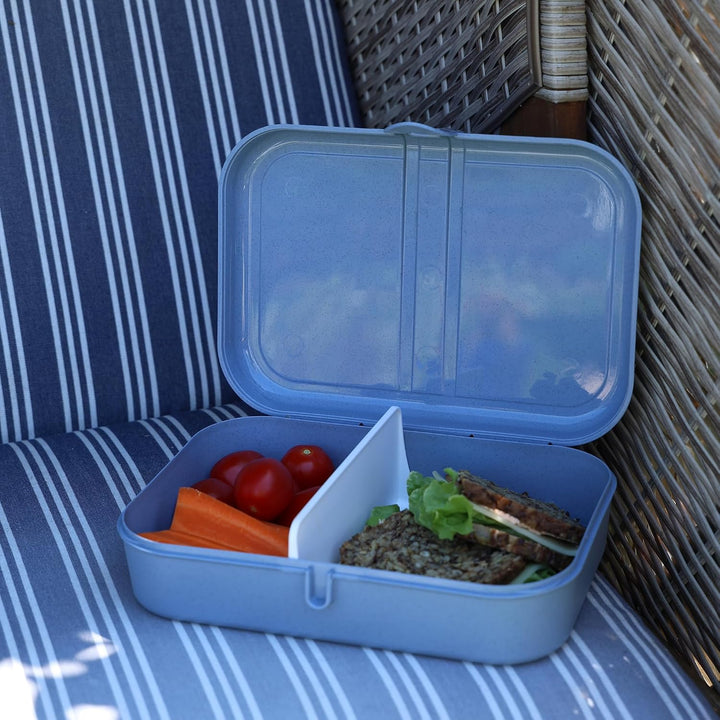 Koziol PASCAL L Lunchbox, Brotdose mit herausnehmbarem Trennsteg | mit Clipverschluss, robust, bruch