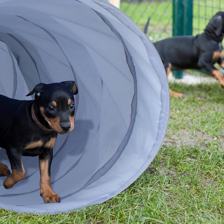 Relaxdays Hundetunnel, Spieltunnel für aktive Hunde, Hundetraining, 200 cm lang, Ø 40 cm, Faltbarer