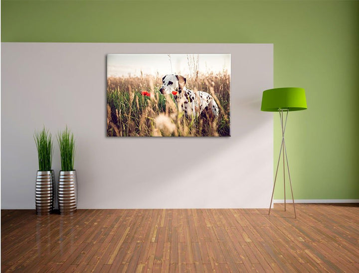 Neugieriger Hund im Feld, Format: 100x70 auf Leinwand, XXL riesige Bilder fertig gerahmt mit Keilrah