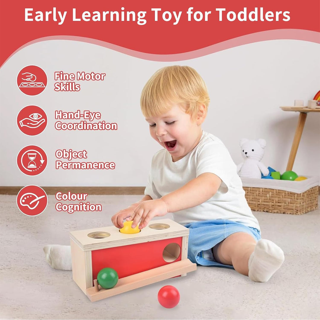 Montessori Spielzeug ab 1 Jahr, Baby Holzspielzeug ab 9 Monate, Objektpermanenz Box für Baby 12-18 M