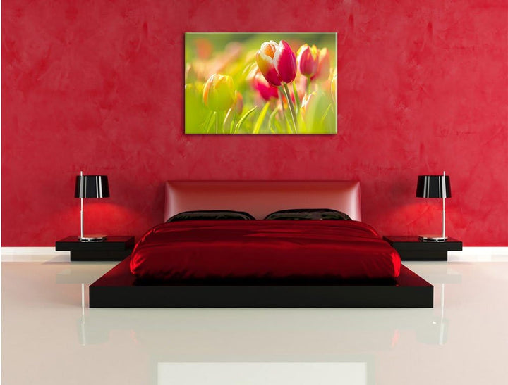 Blühende rote Tulpen, Format: 100x70 auf Leinwand, XXL riesige Bilder fertig gerahmt mit Keilrahmen,