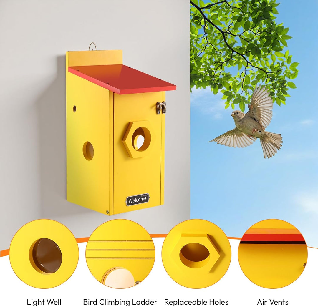 Vogelhaus mit 5MP Kamera Solar WLAN, Bunte Nistkasten zum Aufhängen für Wetterfest, 2,4G WiFi &amp; App