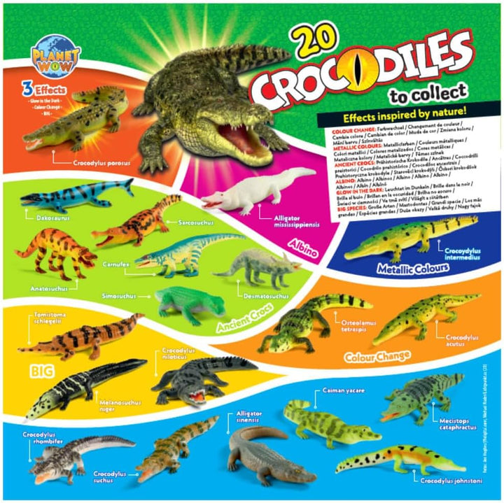 Bundle mit Blue Ocean Crocodiles Sammelfiguren 2025 - Planet Wow Krokodil- Figur 20. Australien-Krok