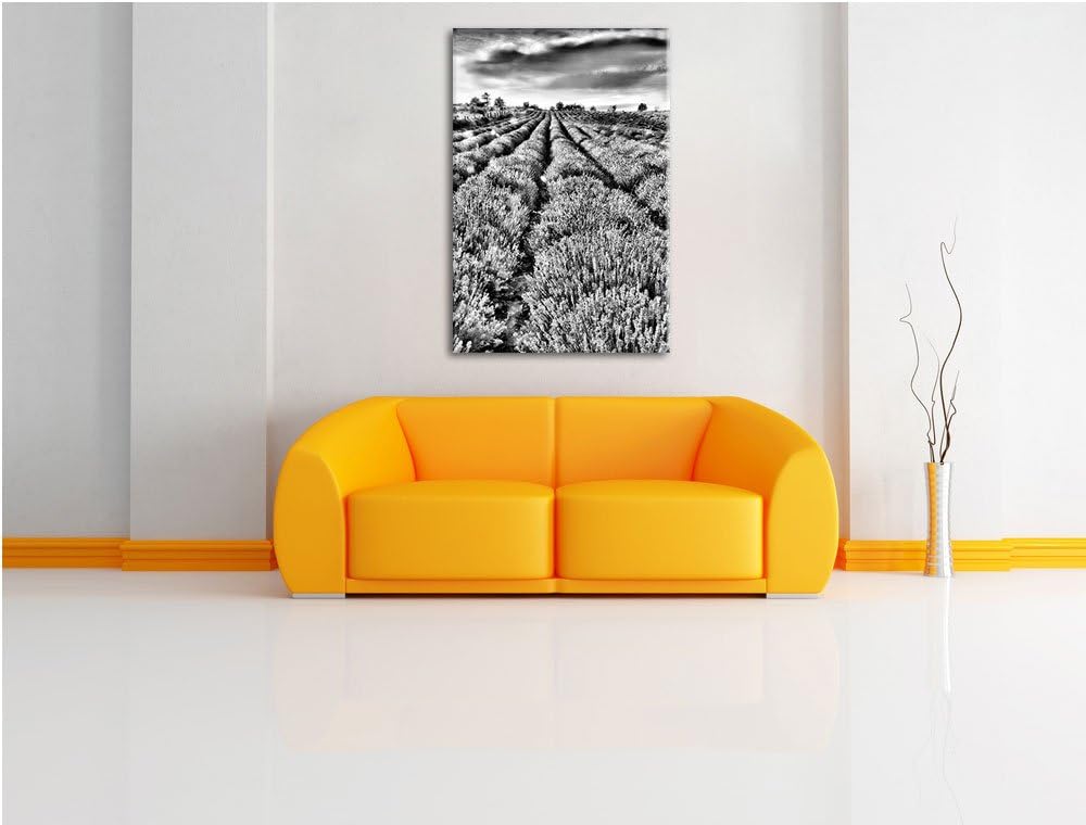 Pixxprint Lavendelfeld Provence / 100x70cm Leinwandbild bespannt auf Holzrahmen/Wandbild Kunstdruck