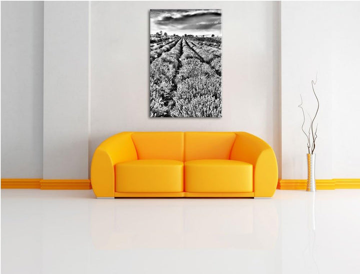 Pixxprint Lavendelfeld Provence / 100x70cm Leinwandbild bespannt auf Holzrahmen/Wandbild Kunstdruck