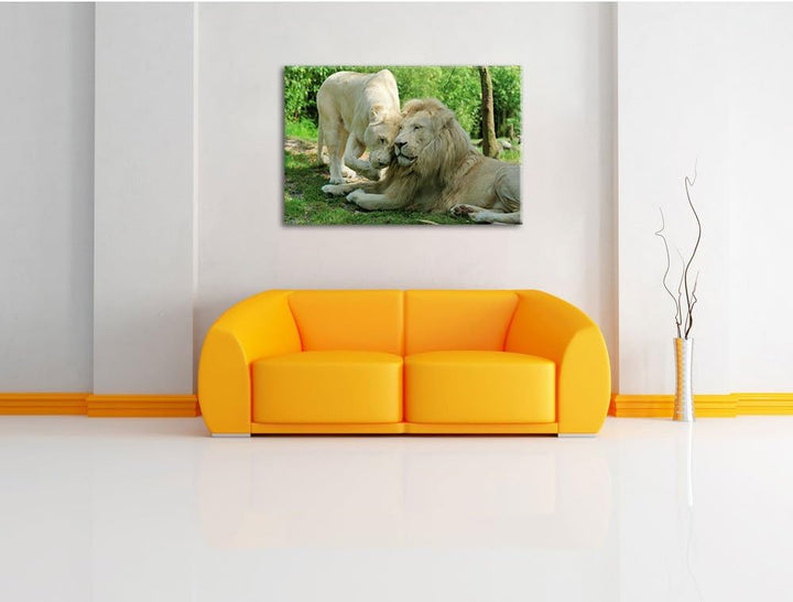 verliebtes Löwenpaar, Format: 100x70 auf Leinwand, XXL riesige Bilder fertig gerahmt mit Keilrahmen,