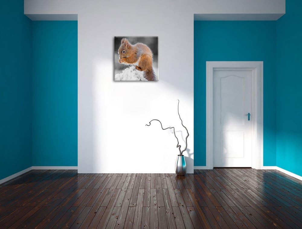 Pixxprint Kleines Eichhörnchen im Winter als Leinwandbild Quadratisch/Grösse: 70x70 / Wandbild/Kunst