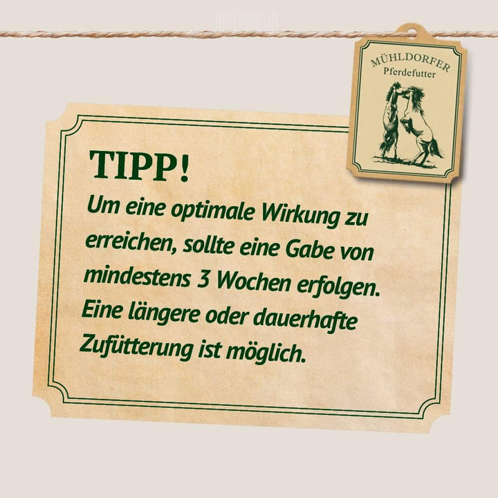 Mühldorfer Mucovital Prebiotic - 20 kg - Entzündungsregulierend - Bei Magenerkrankungen - Ohne Getre