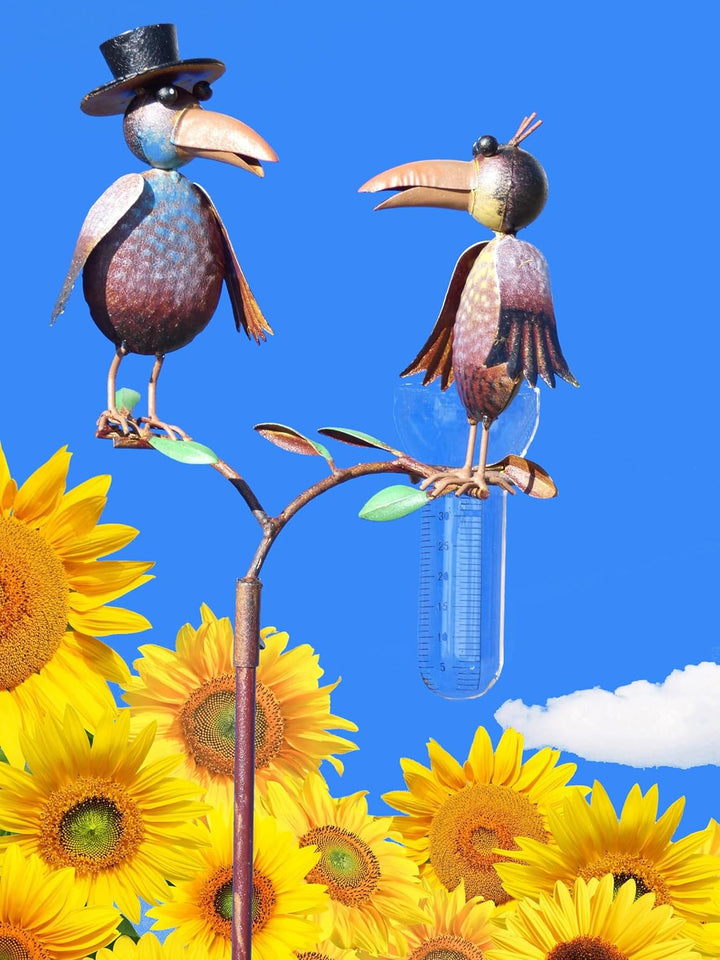 Pommerntraum ® | Regenmesser Niederschlagsmesser Pluviometer Rostoptik Prof. Dr. Rabe + Gattin - tol