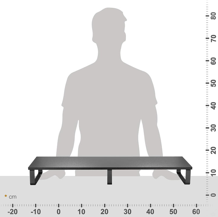 RICOO Monitorständer 2 Monitore Bildschirmerhöhung FS0112 Monitor Stand Monitorerhöhung Schreibtisch