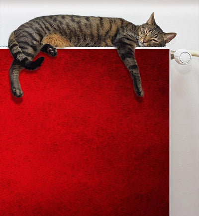 DarHaus Magnet Heizkörperverkleidung Heizkörperabdeckung Heizung Schutz, 140x60 Motiv ROT 140x60 cm,