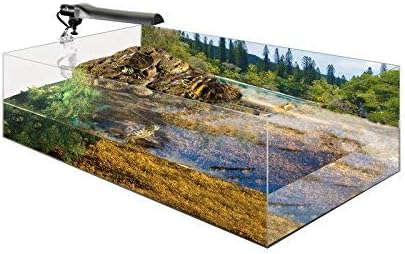 Exo Terra Turtle Bank, magnetische, schwimmende Insel für Schildkröten, ideal für Aqua-Terrarien, gr