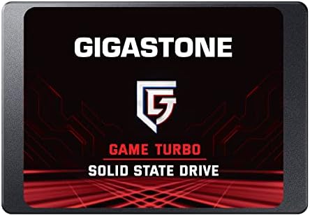 Gigastone NAS SSD 1TB Enterprise SSD Festplatte TLC Hohe Dauerhaltbarkeit Server SSD für 24/7 Dauerb