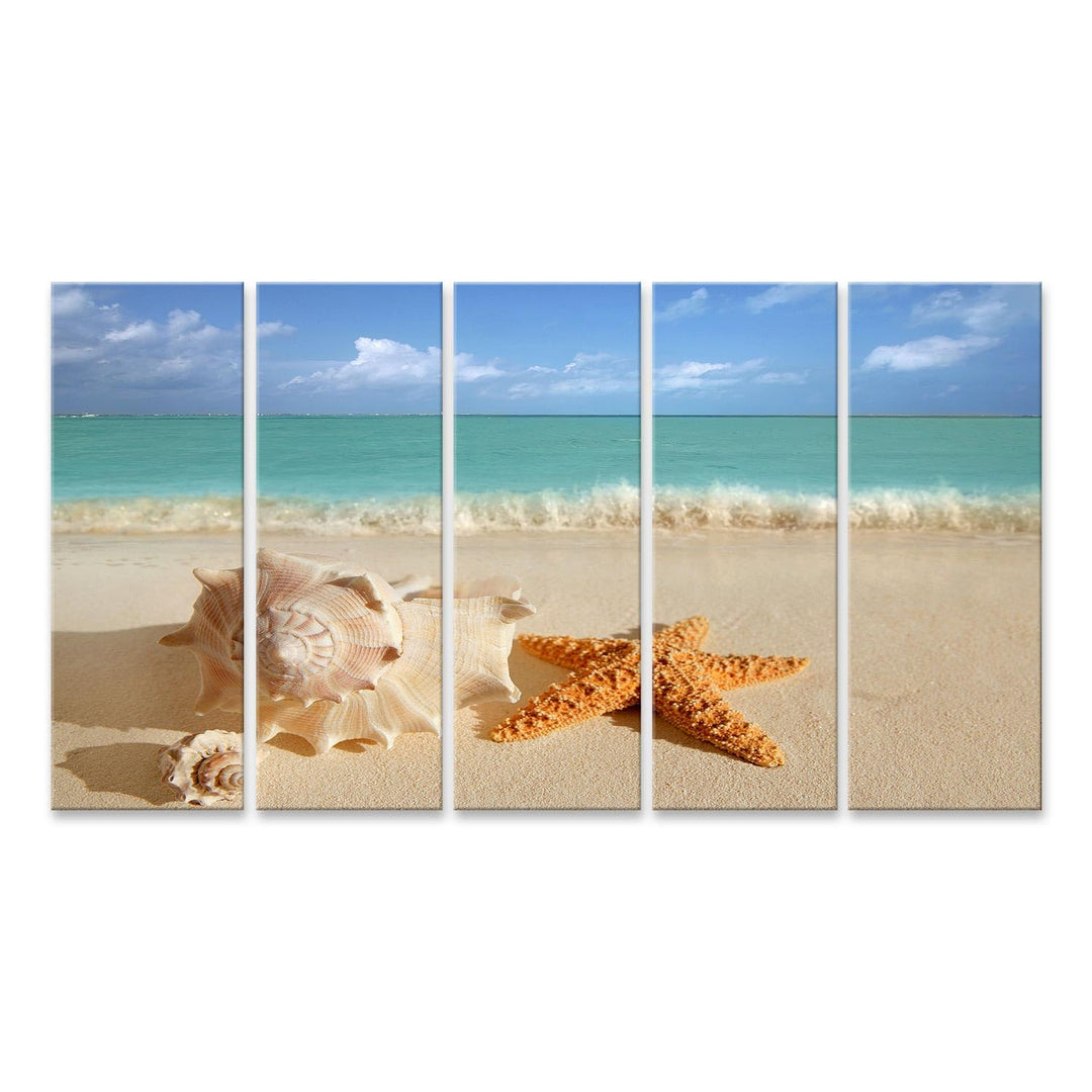islandburner Bild auf Leinwand Meer Muschel Seestern Im Tropischen Sand Türkisfarbenes Meer Karibik