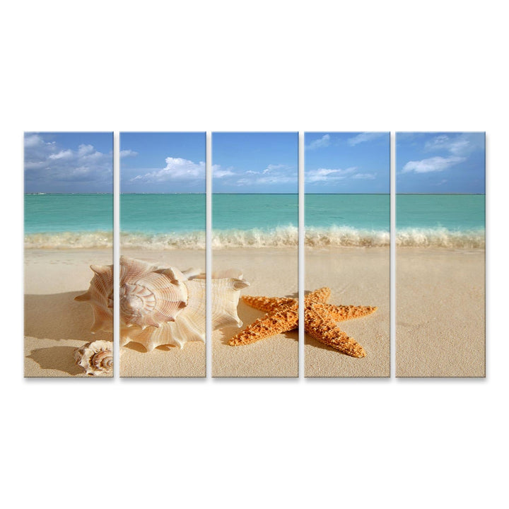 islandburner Bild auf Leinwand Meer Muschel Seestern Im Tropischen Sand Türkisfarbenes Meer Karibik