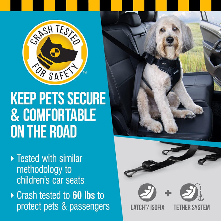 Sherpa Crash-Tested Mehrzweck-Sicherheitsgurt-Hundegeschirr, Schwarz, Grösse L Large Crash-Tested Hu