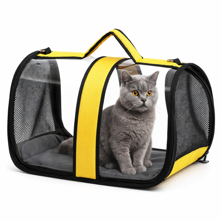Blue Eyes Transportbox Katze Hund Faltbare Katzentransportbox Transparent Transporttasche für Hausti