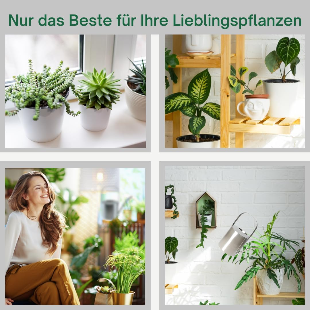 TOPANBIETER 999 Giesskanne Giesskanne Edelstahl gebürstet 2,5 Liter