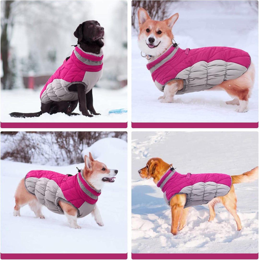 Kuoser Hunde-Wintermantel, wasserdicht, kaltes Wetter, warme Jacke für kleine, mittelgrosse und gros