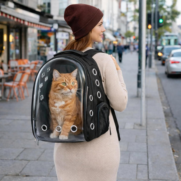 Blue Eyes Haustier Rucksack mit Sichtfenster, Atmungsaktive Transporttasche für Katzen & kleine Hund