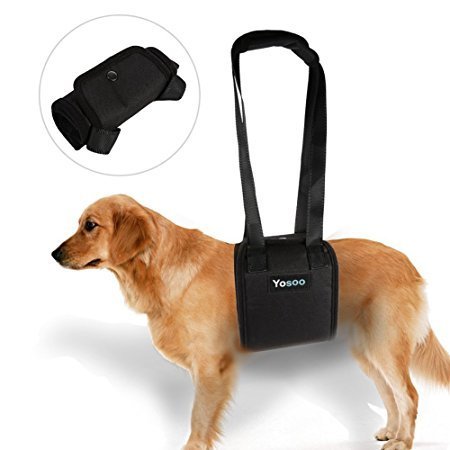 Portable Dog Lifting Support Harness - Hund Hilfe mit schwachen Vorder- oder Hinterbeinen Steh auf,
