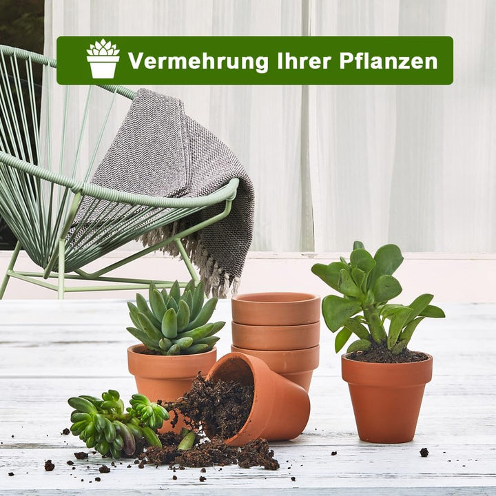 vensovo Terrakotta-Töpfe mit Drainage, 7,6 cm, 20 Stück, Ton-Blumentöpfe, Sukkulenten-Blumentöpfe, i
