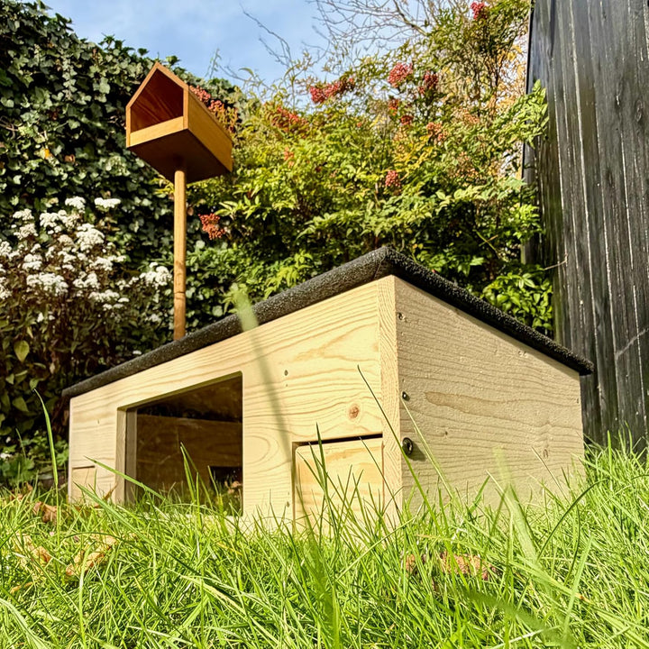 GARTENETAGE Igelfutterhaus XXL mit Panorama-Beobachtungsfenster, Rattenklappen & Fluchtweg – wetterf