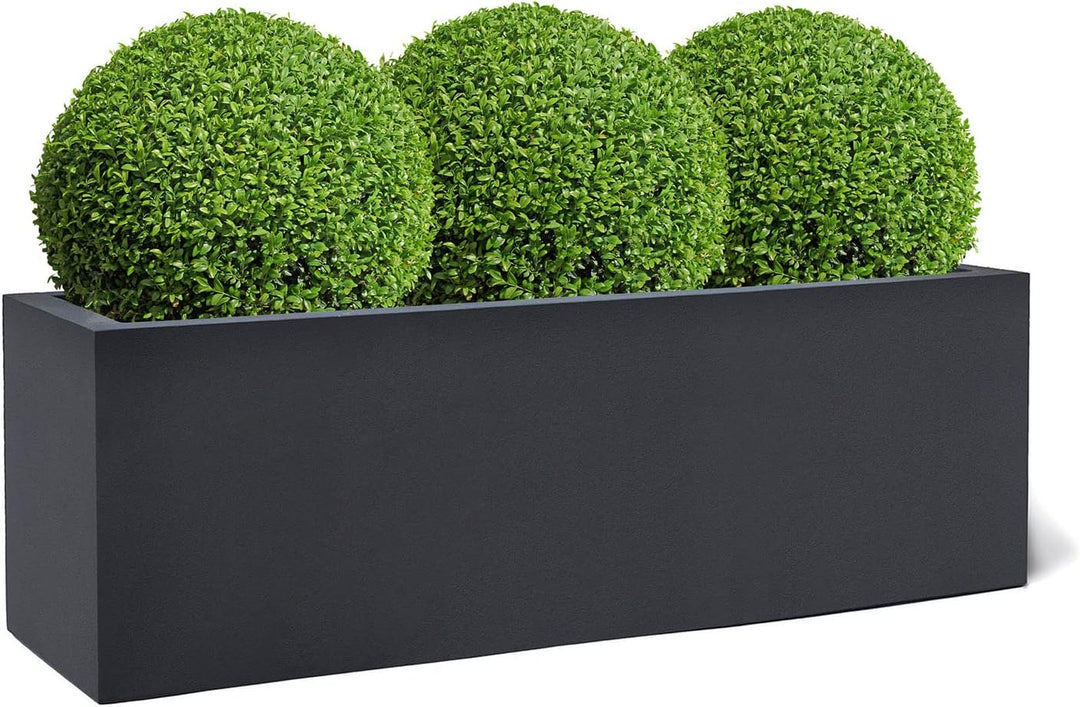 ESCHBACH® Pflanzkübel Box 60 Anthrazit Schwarz Rechteckig * 60 x 20 x 20 cm * 10 Jahre Garantie 60x2