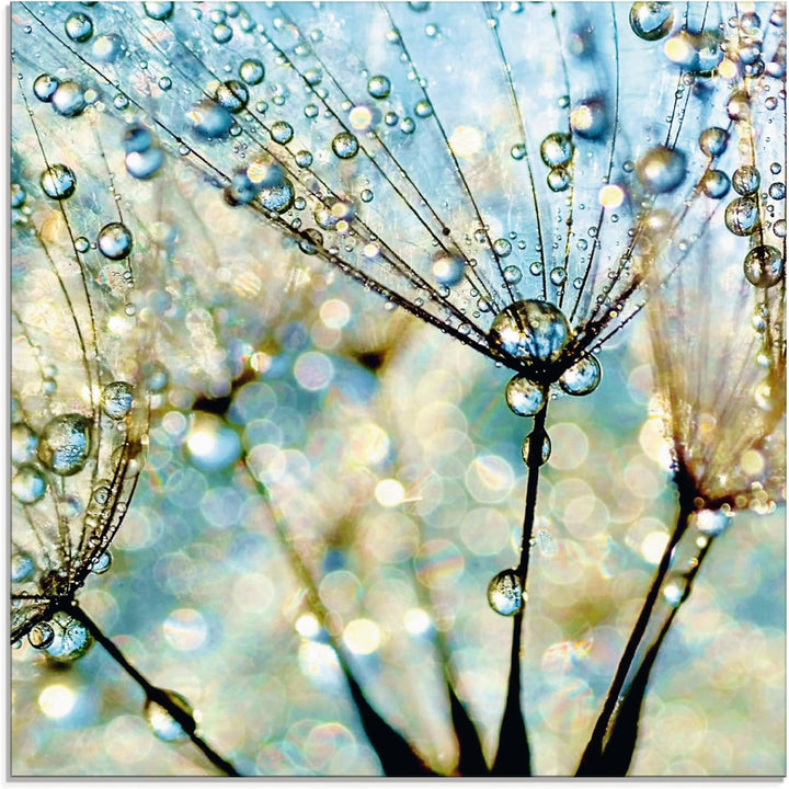 ARTland Glasbilder Wandbild Glas Bild einteilig 50 x 50 cm Quadratisch Wellness innere Ruhe Pflanzen