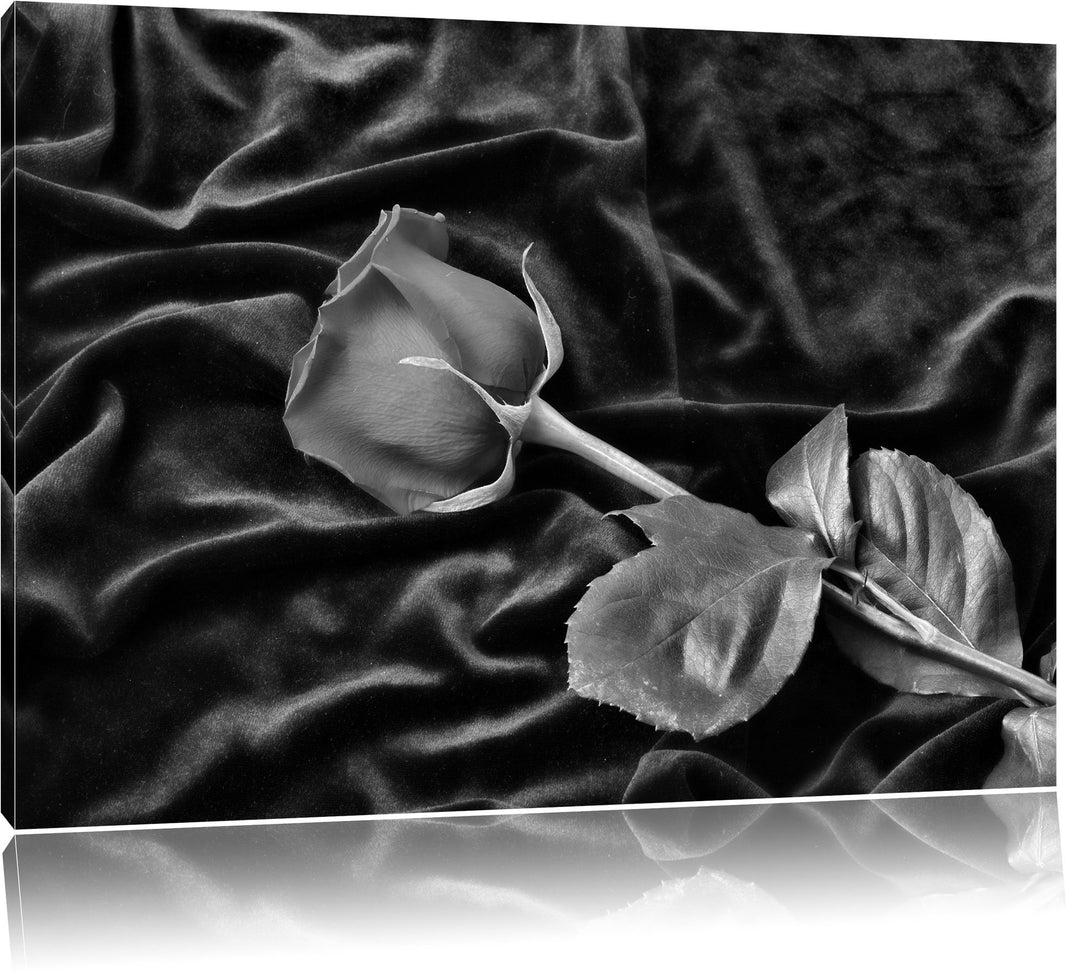 Monocrome, Rose, Format: 100x70 auf Leinwand, XXL riesige Bilder fertig gerahmt mit Keilrahmen, Kuns
