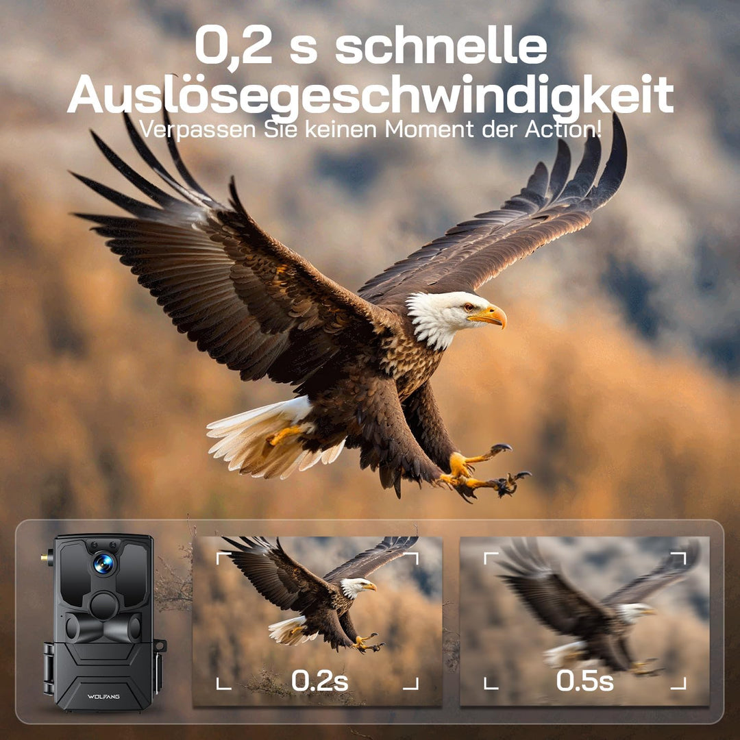 WOLFANG Wildkamera, 2.5K 4G LTE Live Solar Übertragung Wildkamera mit Handyübertragung App, Echtzeit