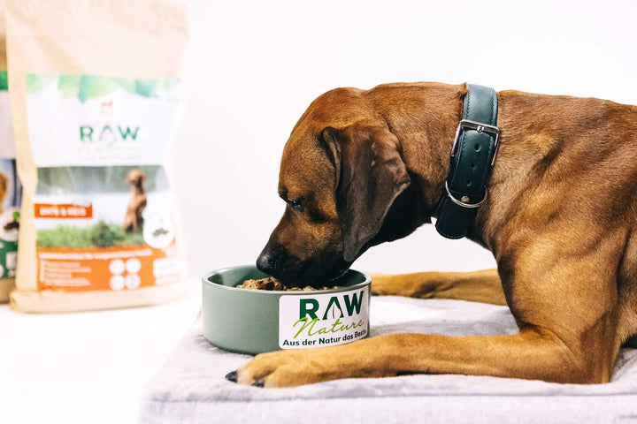 RAW Nature Trockenfutter Adult mit Ente 1kg, kaltgepresstes Hundefutter, Getreidefrei, 100% Muskelfl