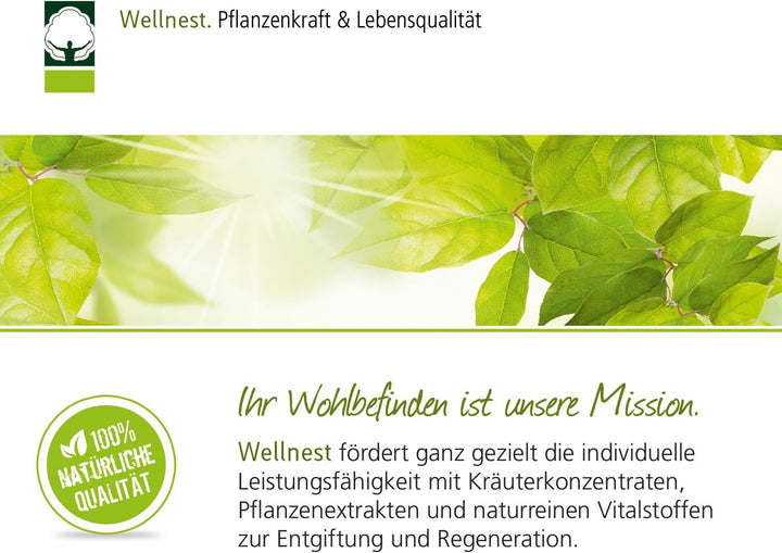 Wellnest Basenbad mit Edelsteinpulver und Stein-Mineralien, 2000g zur nachhaltigen Badeosmose, pH-We