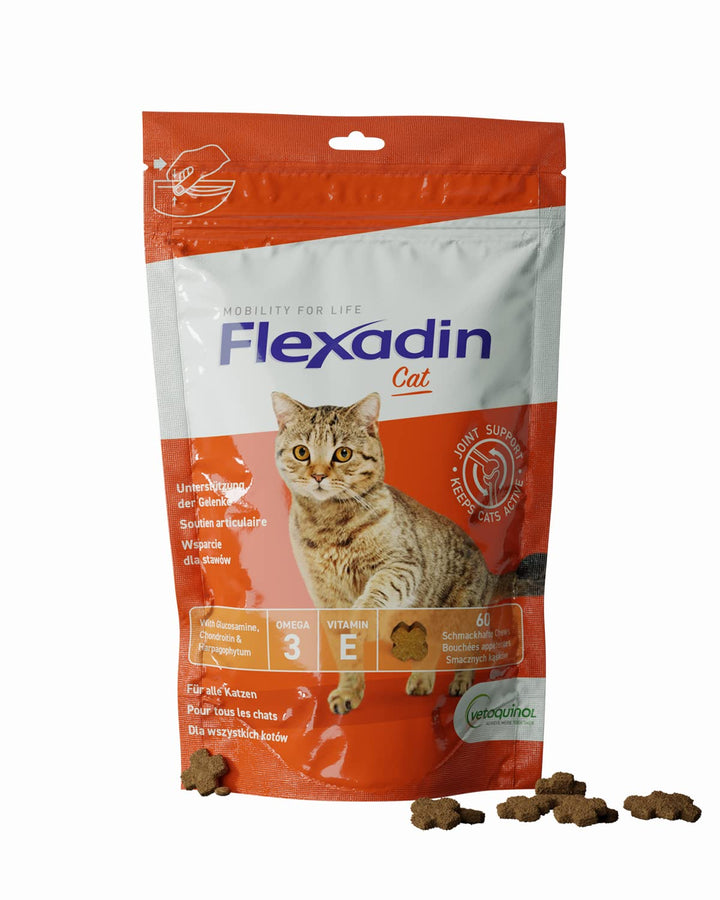 Flexadin® Cat | Für die Gelenkgesundheit von Katzen | mit Glucosamin, Chondroitin, Omega-3 &amp; Teufels