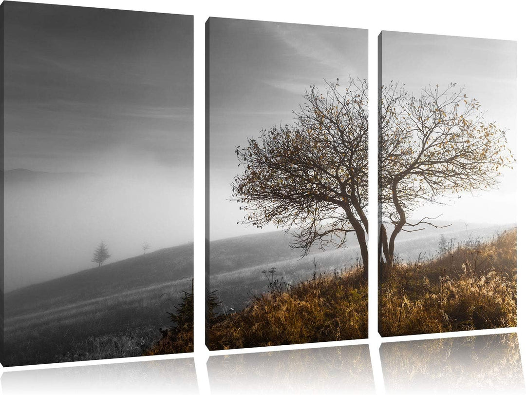 Einsamer Baum auf Berg schwarz/weiss 3-Teiler Leinwandbild 120x80 Bild auf Leinwand, XXL riesige Bil