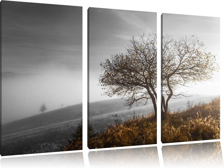 Einsamer Baum auf Berg schwarz/weiss 3-Teiler Leinwandbild 120x80 Bild auf Leinwand, XXL riesige Bil